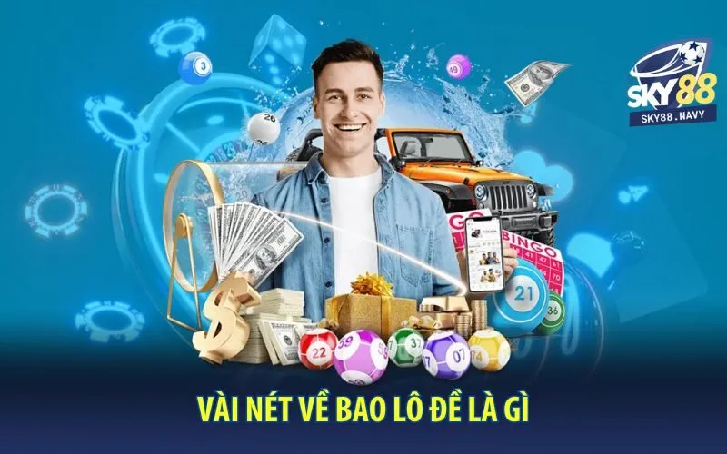 vai-net-ve-bao-lo-de-la-gi